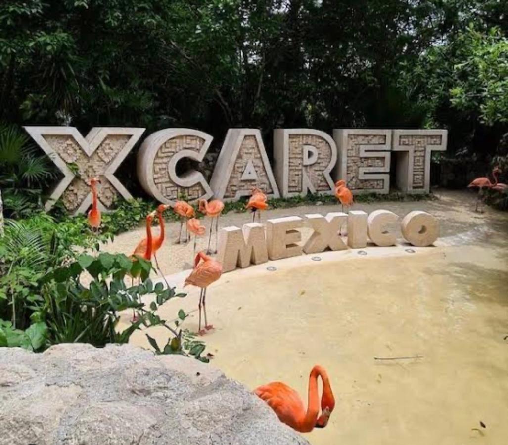 Apartament Casa Marene Puerto Morelos Zewnętrze zdjęcie